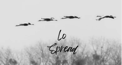 Perchè lo spread è così importante